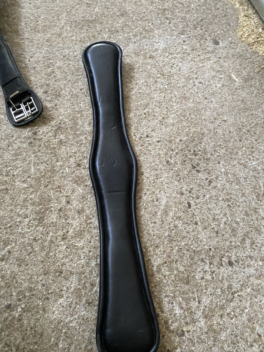 Selles, accessoires: Sattelgurt – Neuf avec emballage d'origine à Lenggenwil par ale_r8nj 1