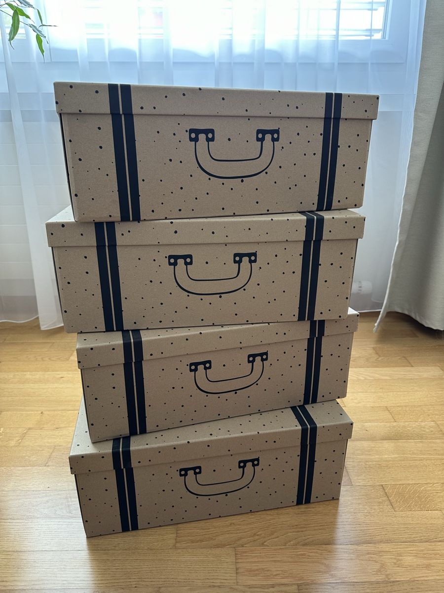 Contenitori & Simili: Aufbewahrungsboxen mit Deckel – Nuovo (secondo la descrizione) da Uitikon Waldegg venduto da MGC 1