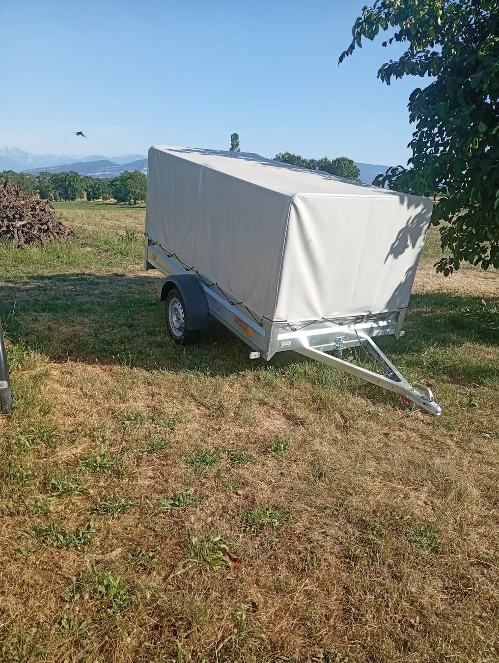 Neptun Anhänger: Remolque 2.5 – Neu (gemäss Beschreibung) aus Carouge GE von ant_m6cj