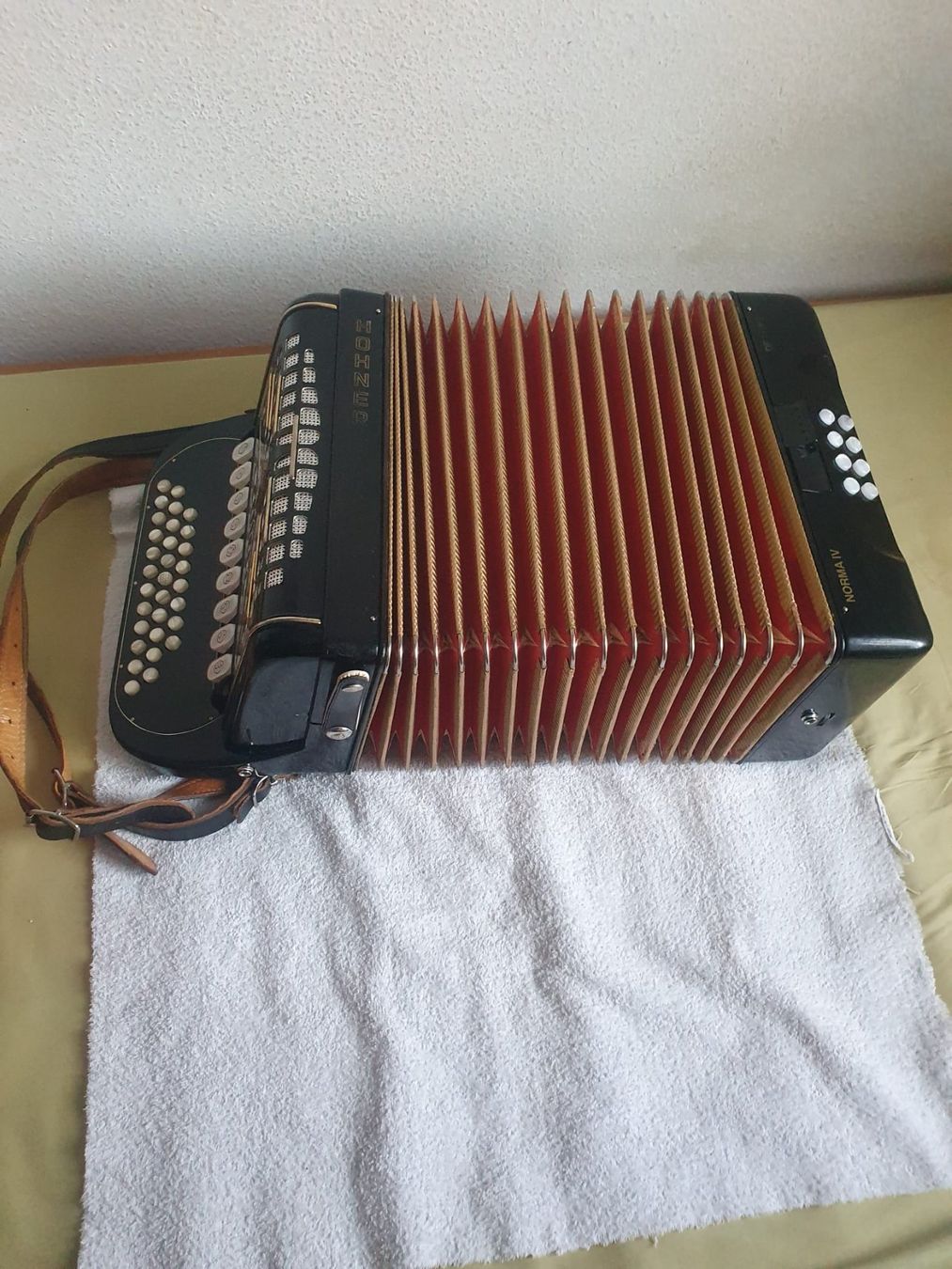 Instruments de musique: Hohner Norma IV De Luxe inkl. Koffer – D'occasion à Basel par FirstClass4000 3