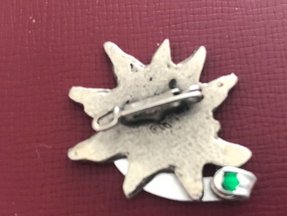 Edelweiss Placchette & Badge: Edelweiss Silvretta Abzeichen – Usato da Itingen venduto da Bebbi6569 1
