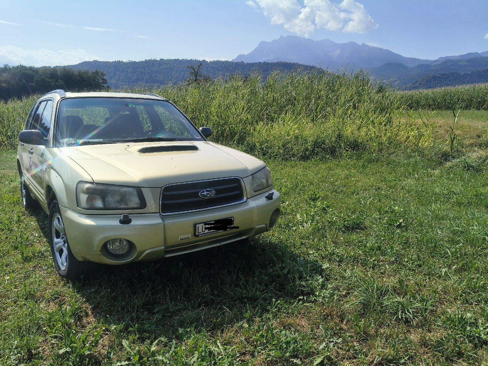 Subaru Automobili: Subaru Forester Turbo 2.0 – Usato da luzern venduto da Lapsusius 7