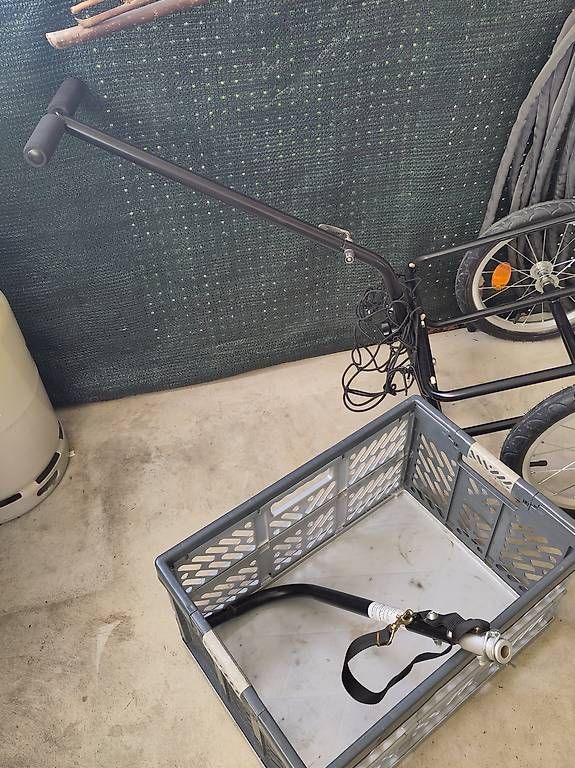 Rimorchi: Veloanhänger – Usato da Wetzikon ZH venduto da Koruna 4