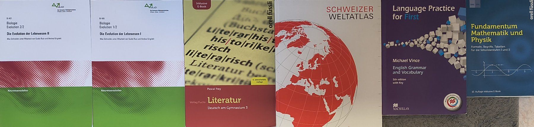 Libri: Passerellen Bücher – Usato da Dintikon venduto da Trixl 3