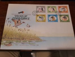 Ducks of Zimbabwe - Premier jour d'émission Octobre 1988