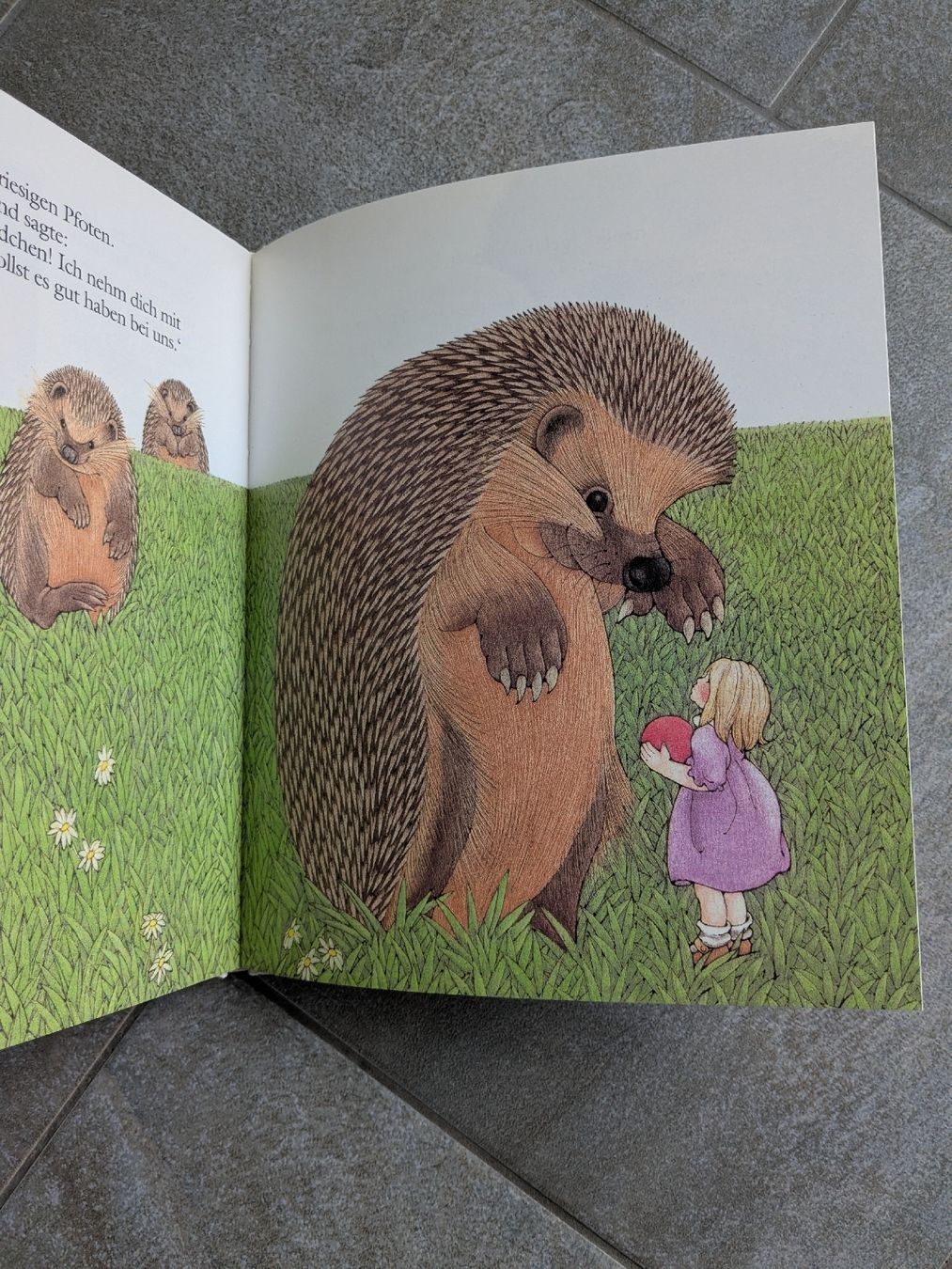 Libri: "Komm, Igel, komm" - Sara Ball – Usato da Wohlen AG venduto da merkur0300 2