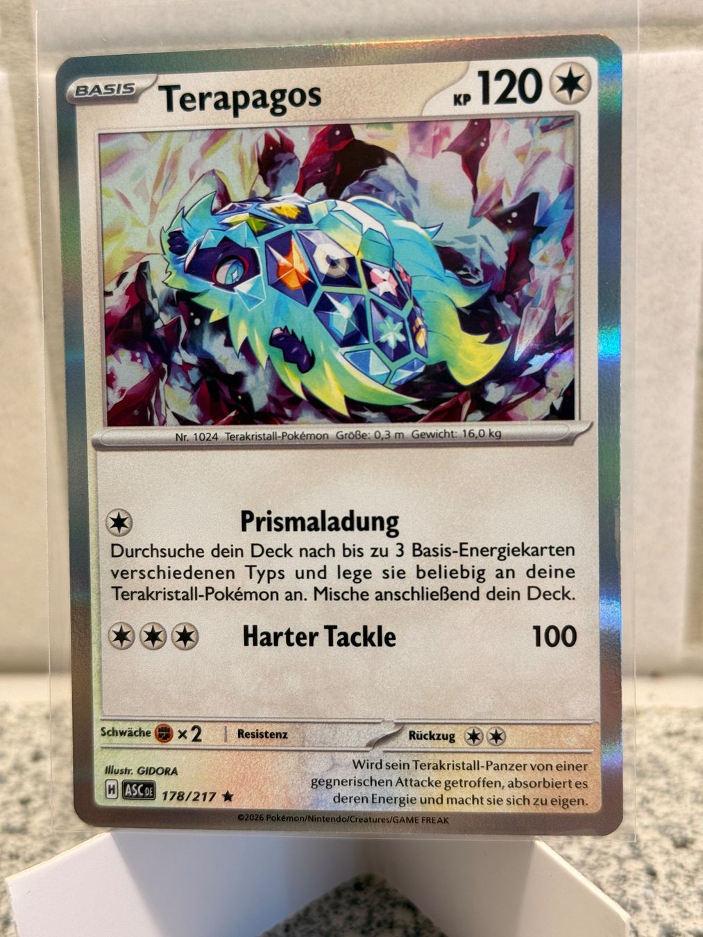 Pokémon Carte collezionabili: Terapagos ASC 178/217  Holo DE NM – Nuovo (secondo la descrizione) da bern venduto da Wankdorf_Retro