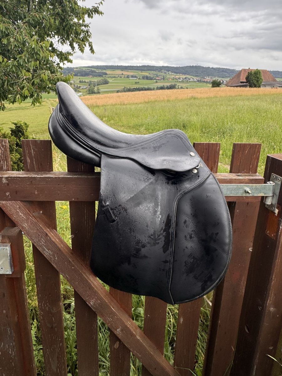 Selle & Accessori: Equipe  Sattel – Usato da Wiler b. Seedorf venduto da luz_xvk8 1