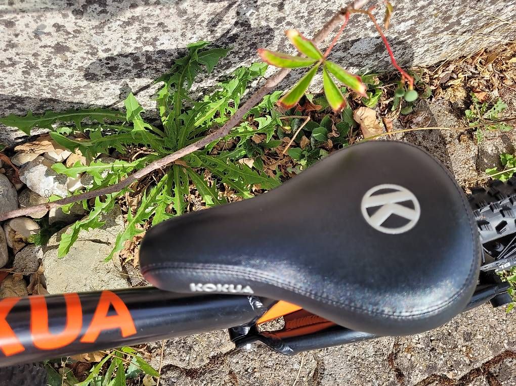 Velos: Kokua LikeaBike Jumper – Gebraucht aus Rüegsauschachen von zepiaaa 3