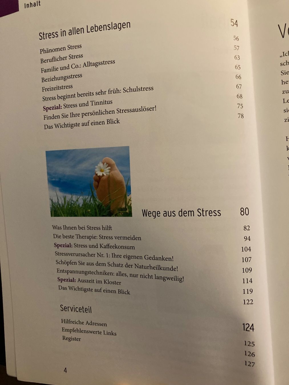Libri: Stress bewältigen – Usato da Frauenfeld venduto da SCHATZtruhe_369 3