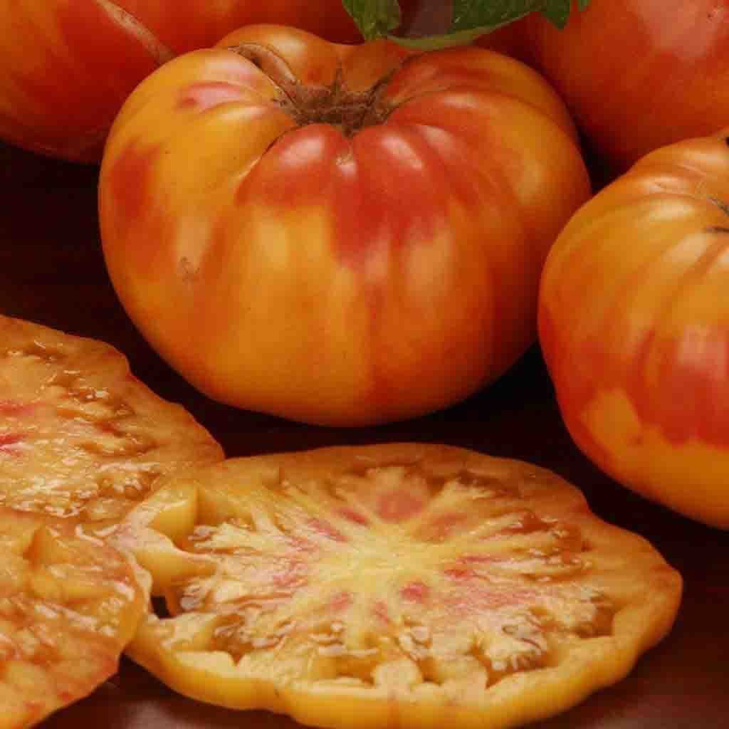 Piante & sementi: 30 Samen OLD GERMAN Tomate Alte Sorte – Nuovo (secondo la descrizione) da Ehrendingen venduto da VerveinaSamen 6