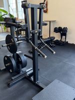 Standing Lateral Raise - Kraftgerät für "Schultermuskulatur"
