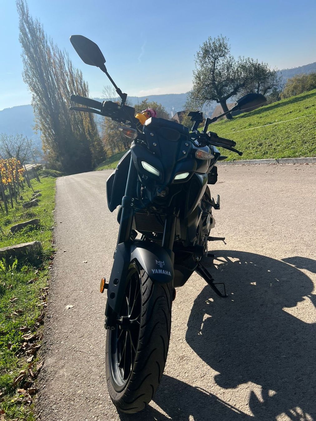 Yamaha Strada: Yamaha MT 125-A – Usato da Wettingen venduto da Muda33 2