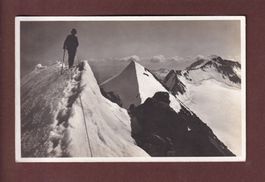 BELLAVISTA - Piz Palü - Alpinist