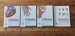 Anatomie Atlas / Sobotta