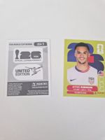 Panini Sticker USA7