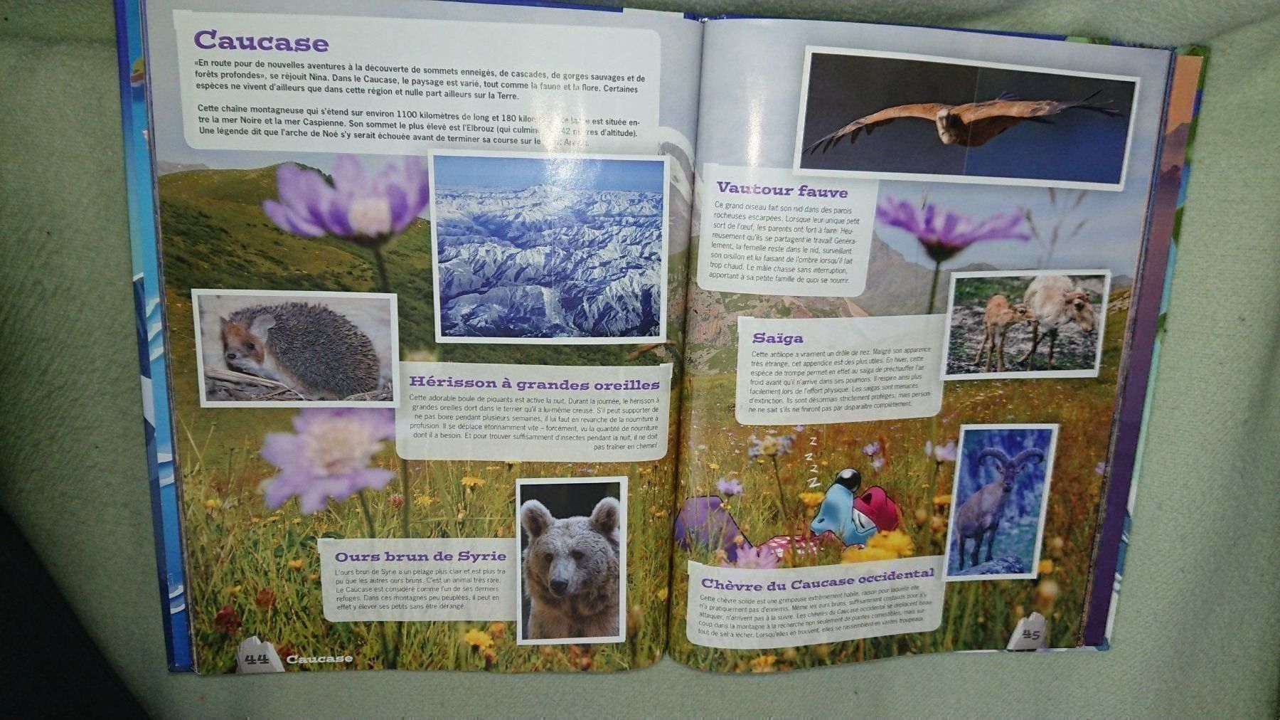 Libri: Lilibigs / Mountain Mania – Usato da Cortaillod venduto da signep 6