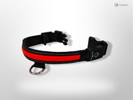 SWISSPET Leuchthalsband Hund S