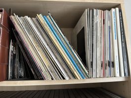 Vinyl Schallplatten verschiedene Künstler, Abholung in Chur