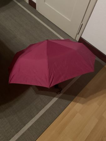 Taschenschirm rot gebraucht funktionstüchtig
