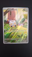 Togedemaru #104 Phantasmal Flames (PFL EN)