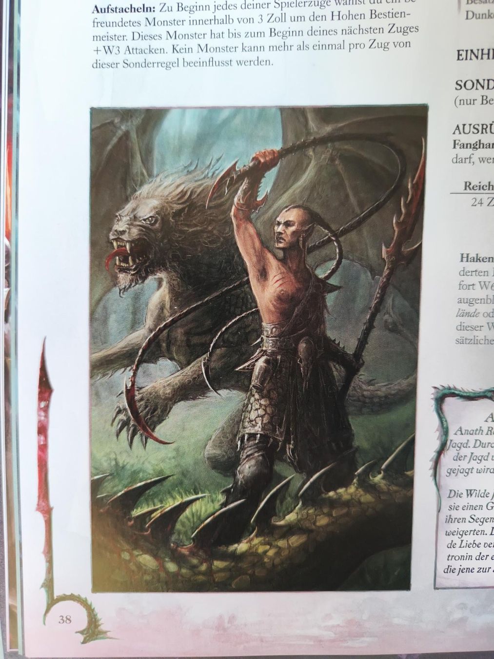 Libri: 4 alte Codices/Armeebücher für Warhammer + 40k – Usato da Staufen venduto da Fabian4419 5
