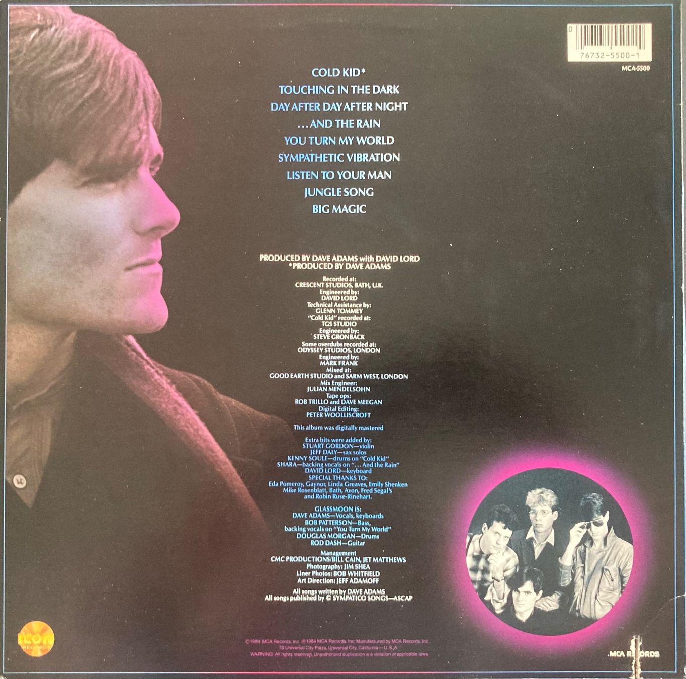 Dischi in vinile: GLASSMOON - SYMPATHETIC VIBRATION – Usato da Poliez-Pittet venduto da Newtown-Records 1