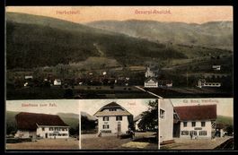 AK Herbetswil, Gasthaus Zum Reh, Post, Handlung von Ed. Binz