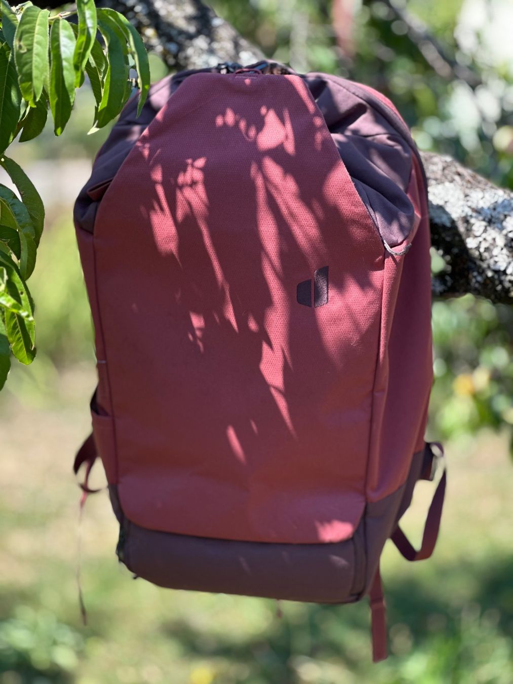 Deuter Zaini: Rucksack Deuter Utilion 34 + 5 in Raisin rot – Usato da Winterthur venduto da gumble_ch