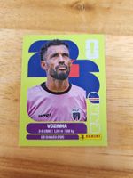 Panini FIFA World Cup CPV 2