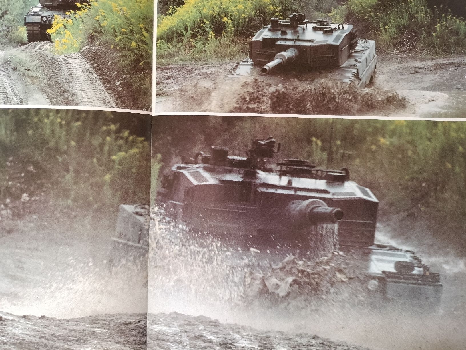 Livres: Schweizer Armee Militär Buch – D'occasion à Schwanden Sigrisw par len_9yqg 9