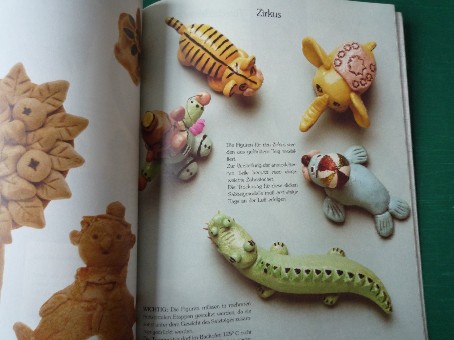 Libri: Salzteig – Usato da Rafz venduto da Sonnenblume305 2