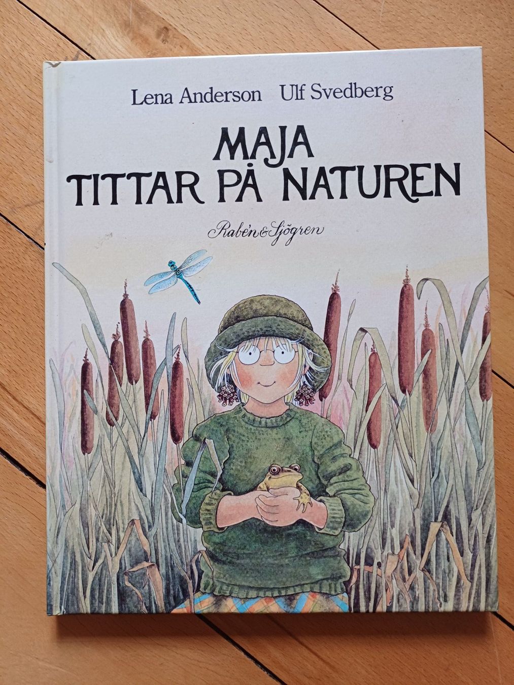 Libri: Schwedischer Kinderbuchklassiker – Usato da Bern venduto da Akatinka