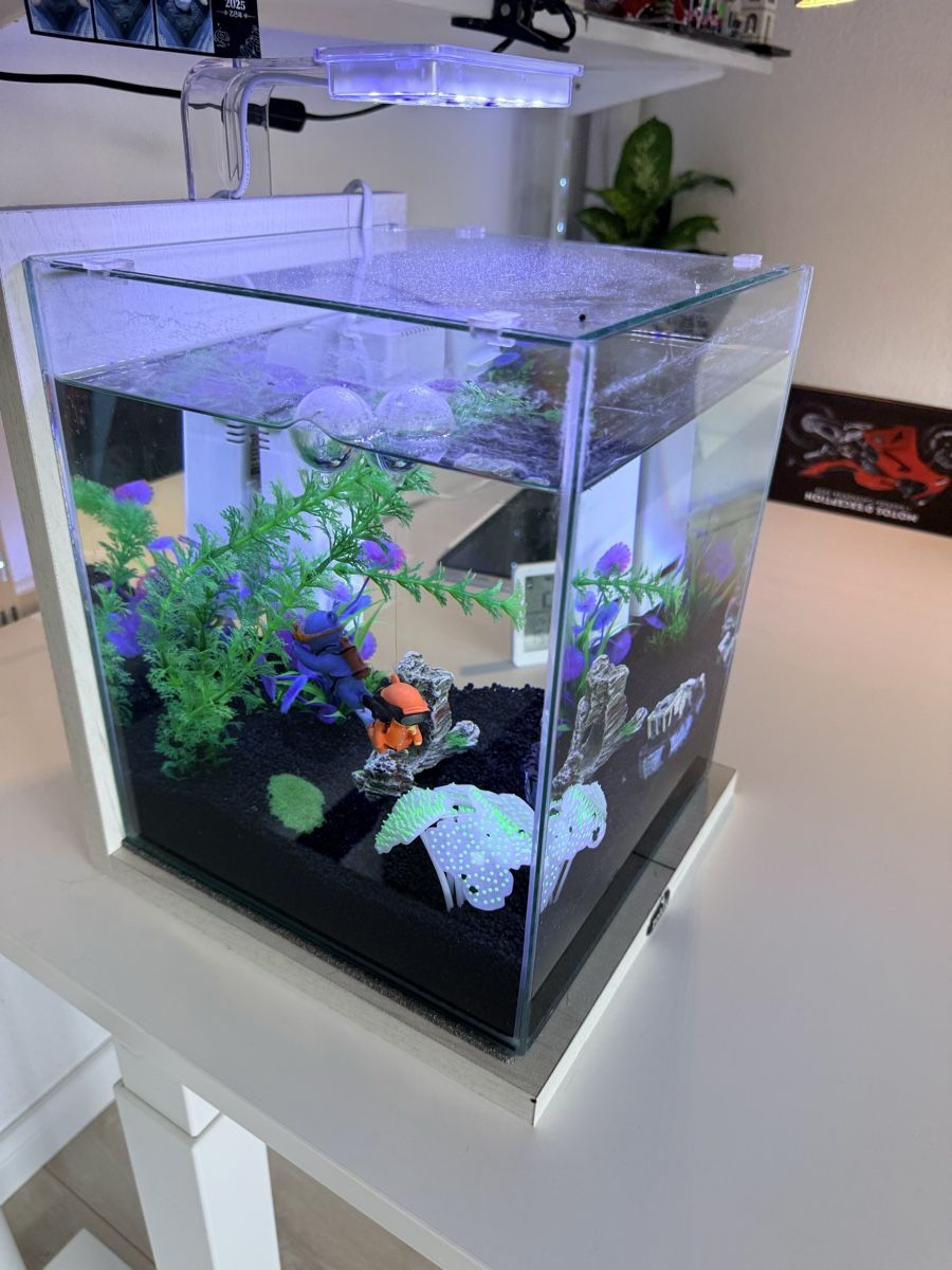 Aquarium: Aquarium 18L – Neuf (Voir description) à Genève par fra_l2v8 1