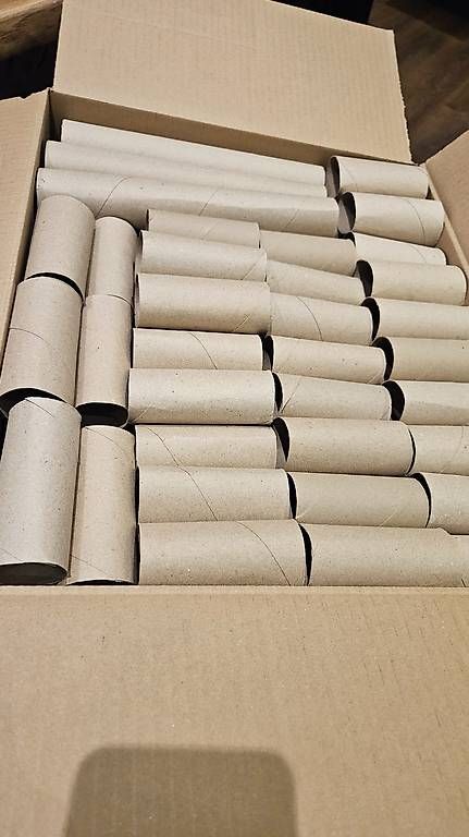 Carta: Klopapierrollen zum Basteln – Usato da Erstfeld venduto da nan_6f9p 4