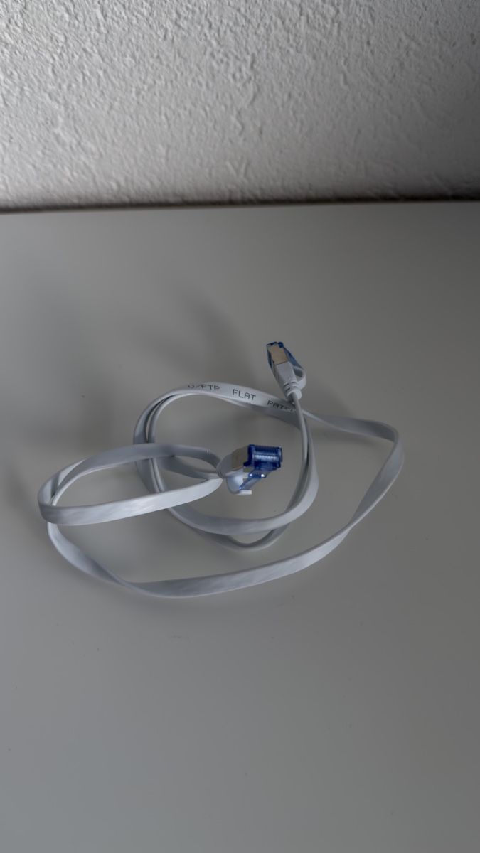 Cavi: Câble Ethernet RJ45 Cat 6A 1m – Nuovo (secondo la descrizione) da Vevey venduto da diogodasilva_