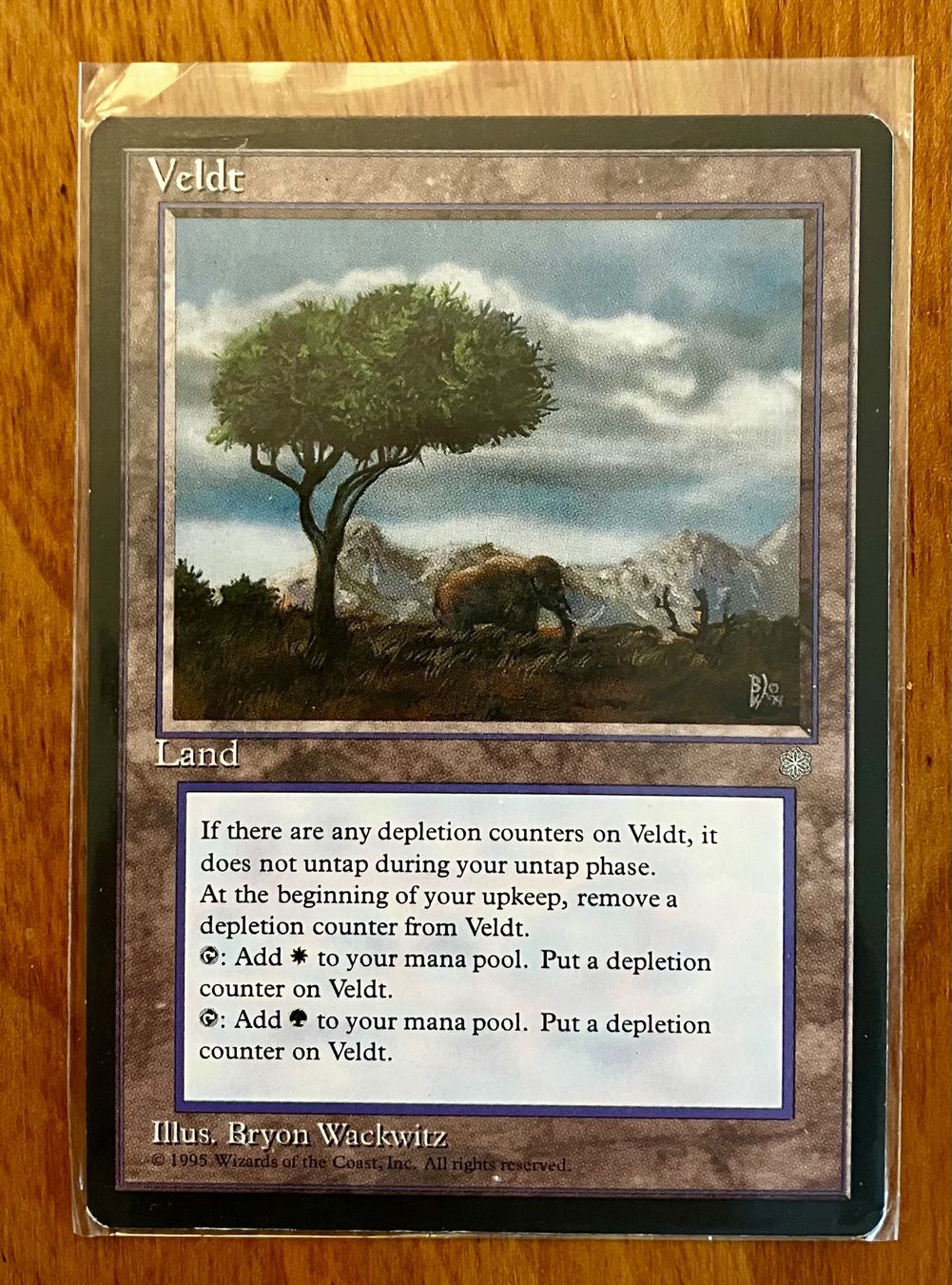 Hasbro Spiele: Magic The Gathering - Ice Age - Land (non-basic): 3 Karten – Gebraucht aus Wabern von SuperKingChris 3