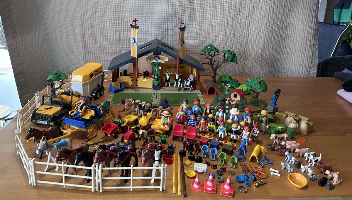 Playmobil Giocattoli: Ferme Playmobil – Usato da Les Acacias venduto da chl_f8bq