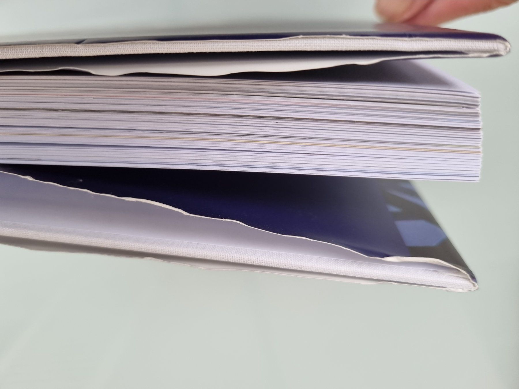 Libri: Europa-Park Edition - Bildband – Usato da Opfikon venduto da Diversamente 3