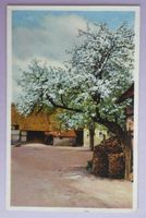 Cour de ferme au printemps