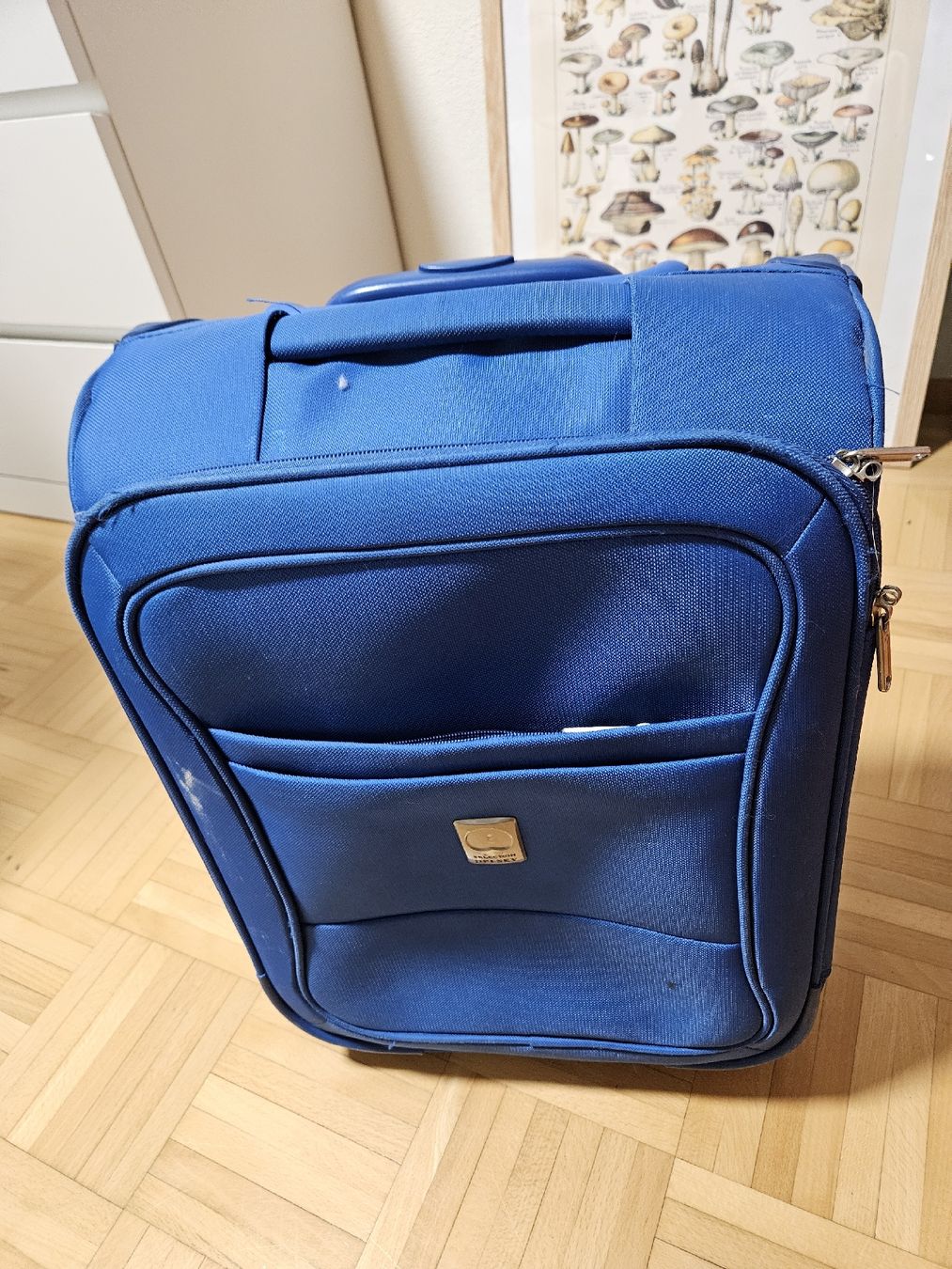 Delsey Valigie: Handgepäck blau – Usato da Rothrist venduto da Monadal