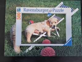 Schönes Puzzle 'Ravensburger' Golden Retriever
