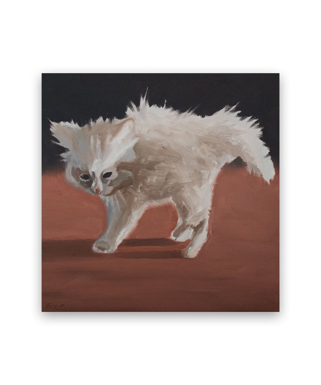 Dipinti: "Scaredy Flof" Ölbild 40x40cm – Usato da Zürich venduto da laranageli