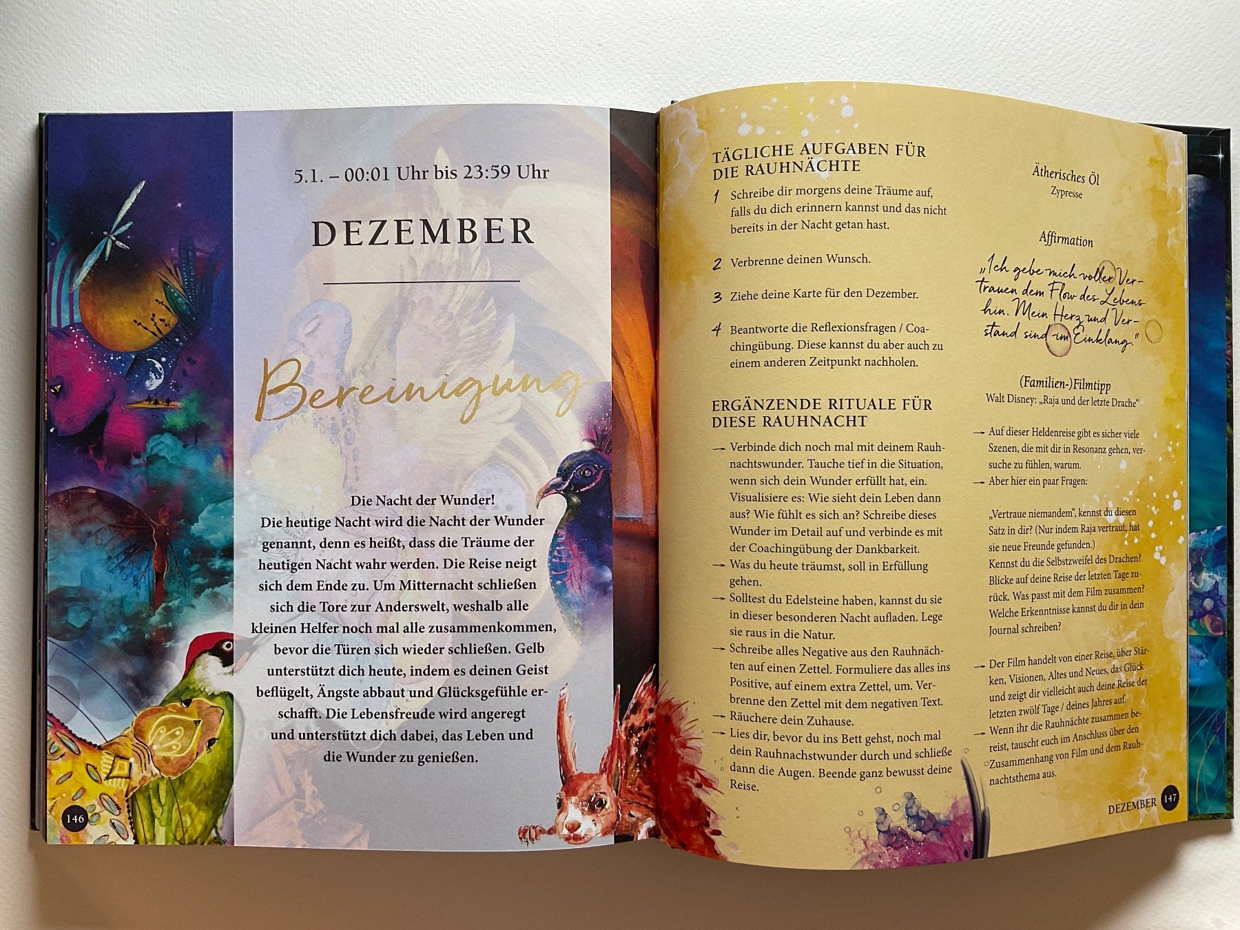 Libri: Dein Seelen Coach - Anja Plattner – Nuovo (secondo la descrizione) da Meggen venduto da BookRevivals 5