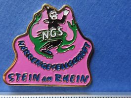 PIN NGS STEIN AM RHEIN, NARREN FASNACHT,GUGGEN MUSIK