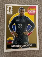 Seltene Panini Extra Sticker ⚽ Moises Caicedo, WM 2026