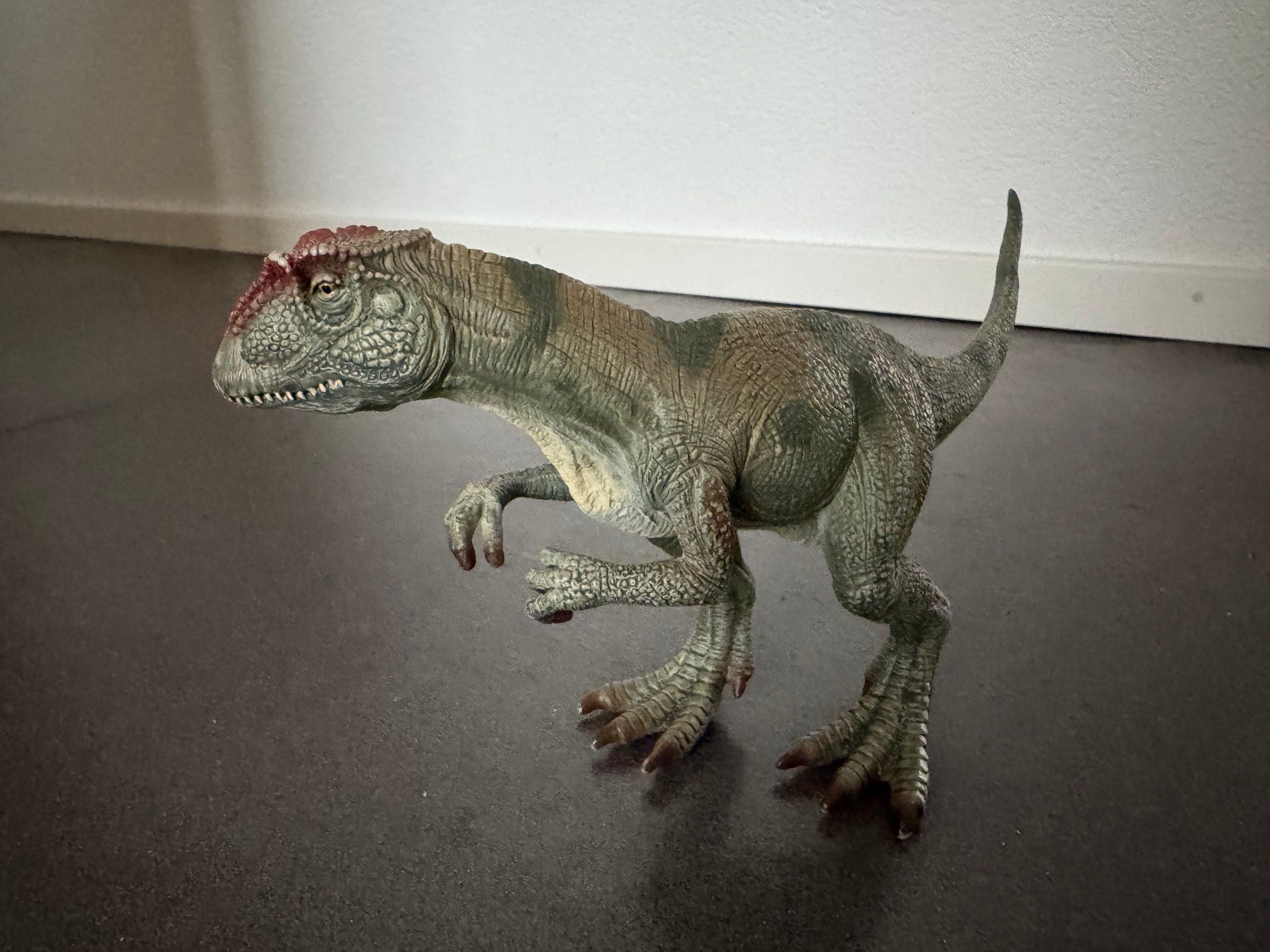 Schleich Statuette: Schleich ALLOSAURUS 2007 Dinosaurier – Usato da Fribourg venduto da tschjoly 2