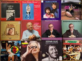 Diverse Schallplatten Sammlung: Musik für jeden Geschmack!