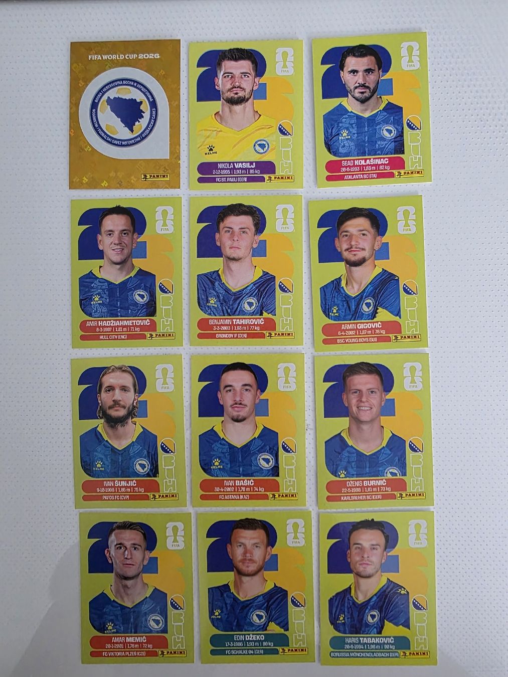 Panini Carte collezionabili: Panini WM 2026- BIH – Usato da St. Gallen venduto da Shelly__x3