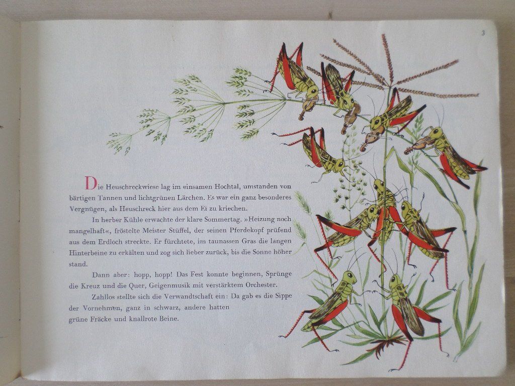Livres: Stüffels Abenteuer – D'occasion à Liestal par man_7bt6 2